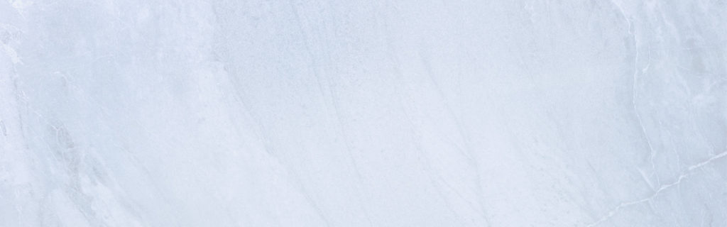 Bonsai – Tranquility at Home