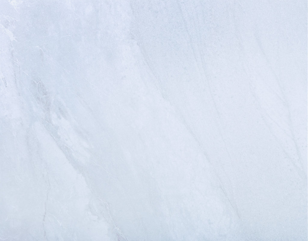 Bonsai – Tranquility at Home