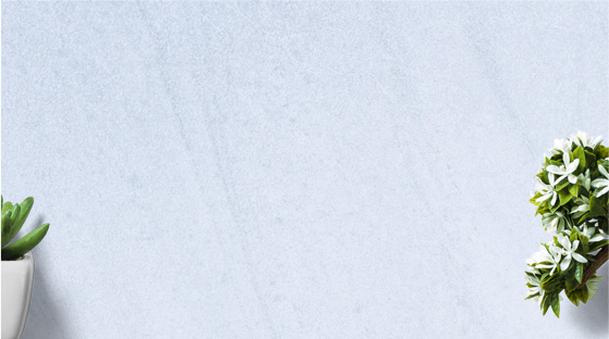 Bonsai – Tranquility at Home