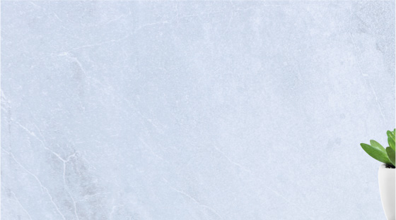 Bonsai – Tranquility at Home