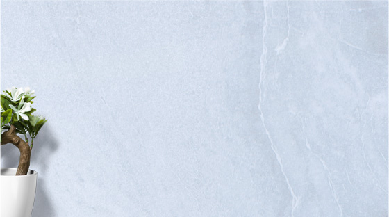 Bonsai – Tranquility at Home