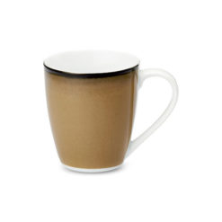 Bonsai – Tranquility at Home