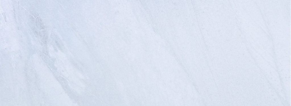 Bonsai – Tranquility at Home