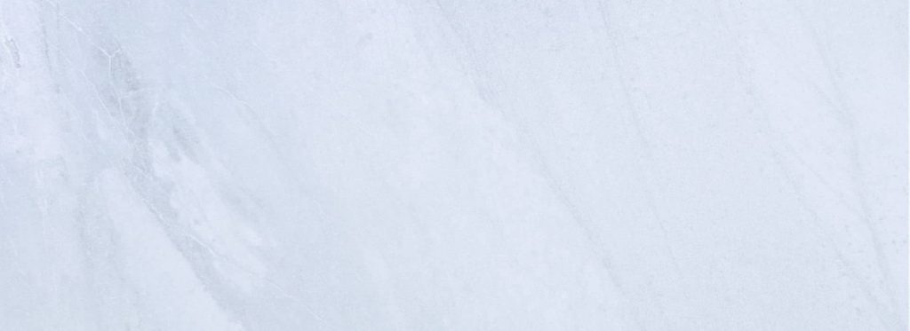 Bonsai – Tranquility at Home