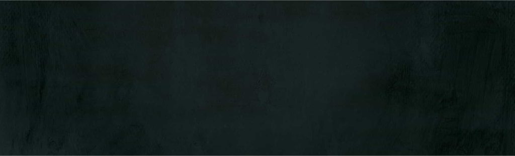 Bonsai – Tranquility at Home