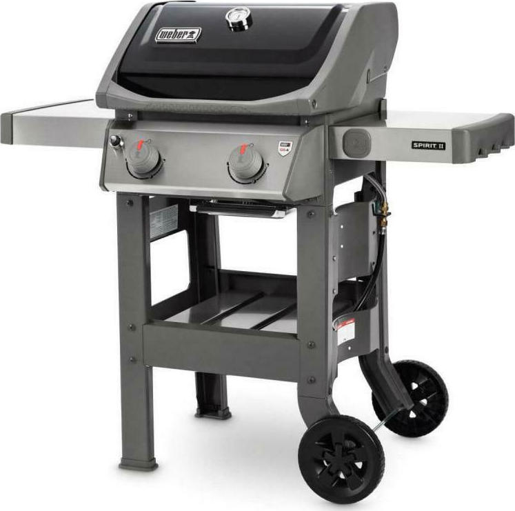 Bonsai – Tranquility at Home