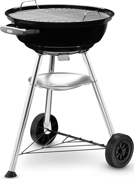 Bonsai – Tranquility at Home