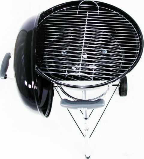 Bonsai – Tranquility at Home