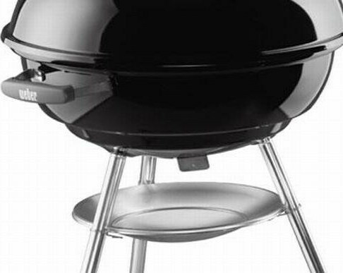 Bonsai – Tranquility at Home