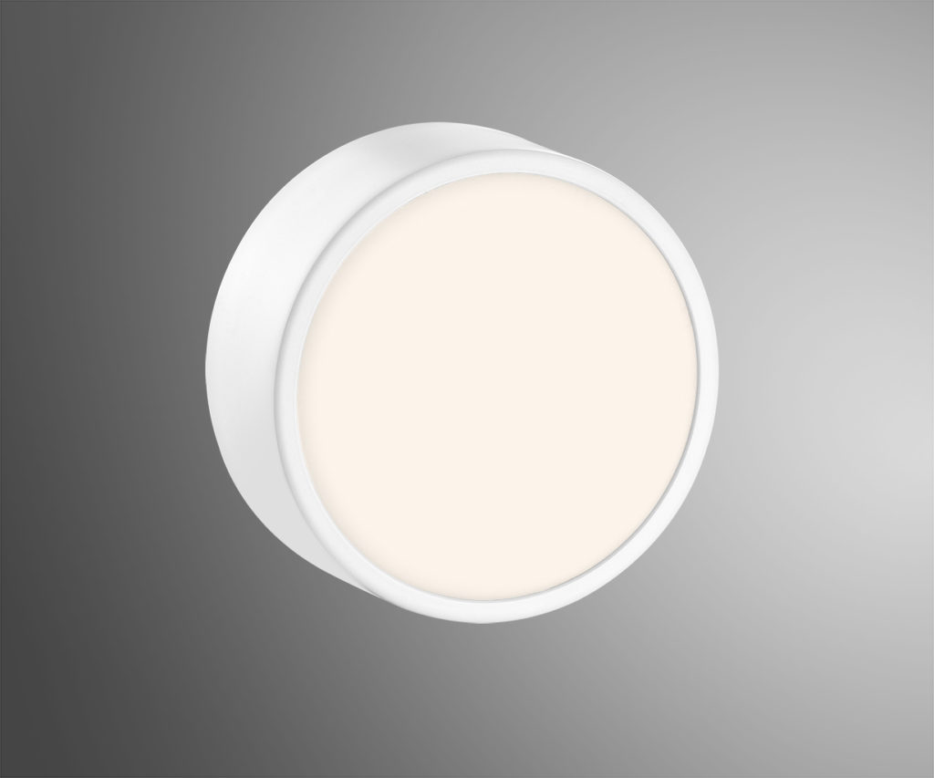 Bonsai – Tranquility at Home