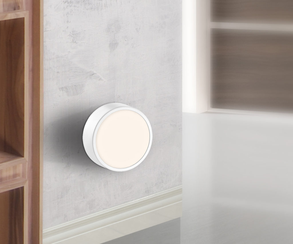 Bonsai – Tranquility at Home