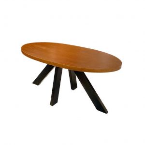 Bonsai – Tranquility at Home