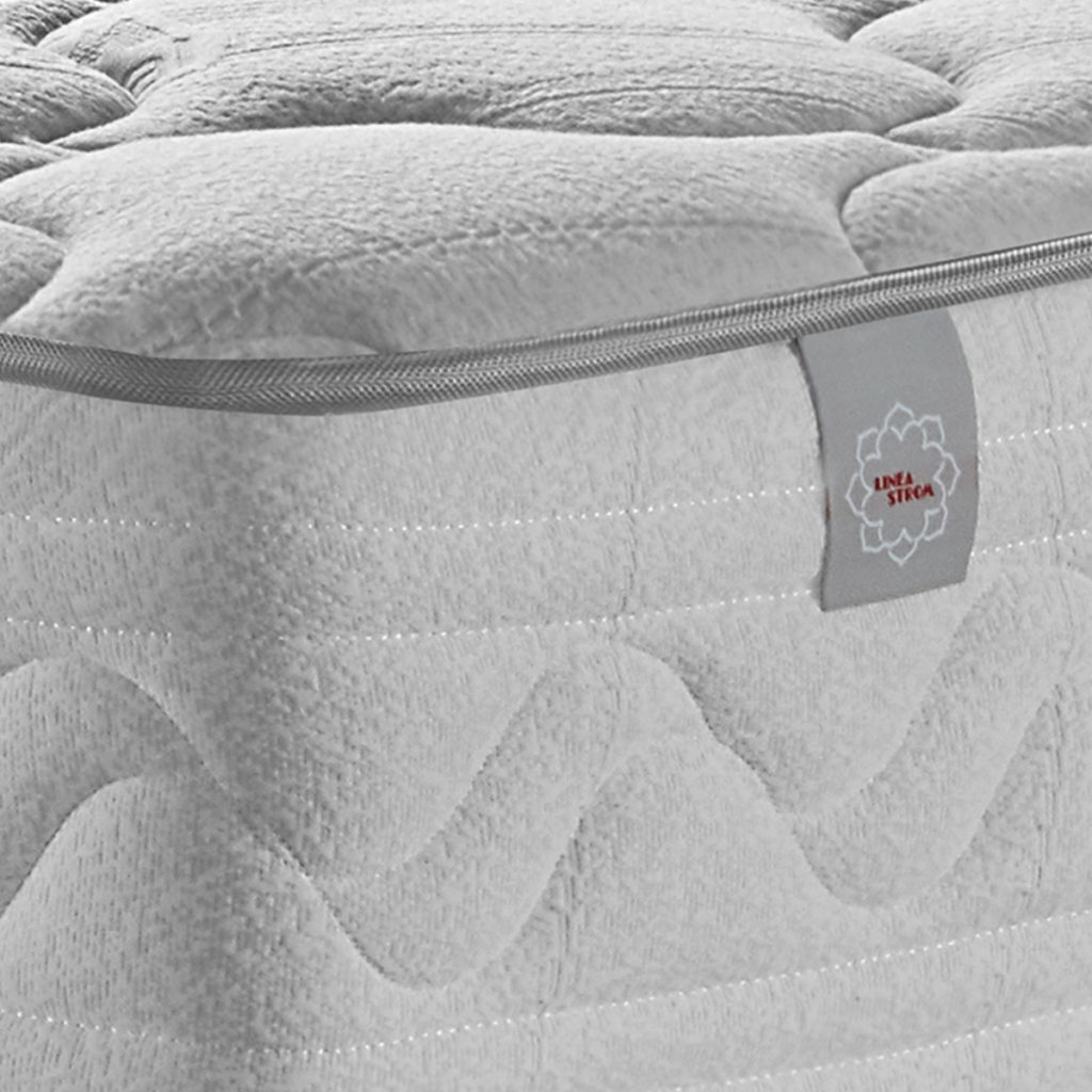 Bonsai – Tranquility at Home