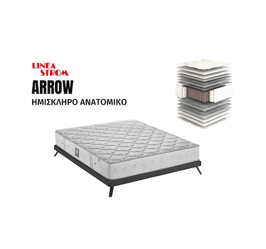 Bonsai – Tranquility at Home