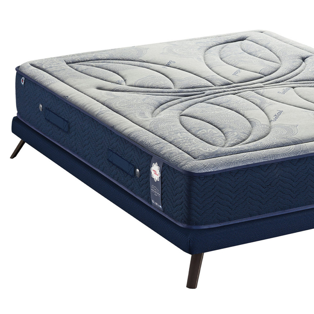 Bonsai – Tranquility at Home