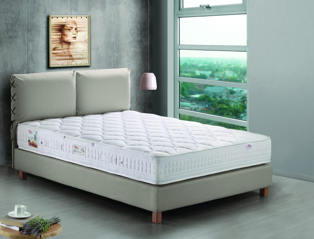 Bonsai – Tranquility at Home