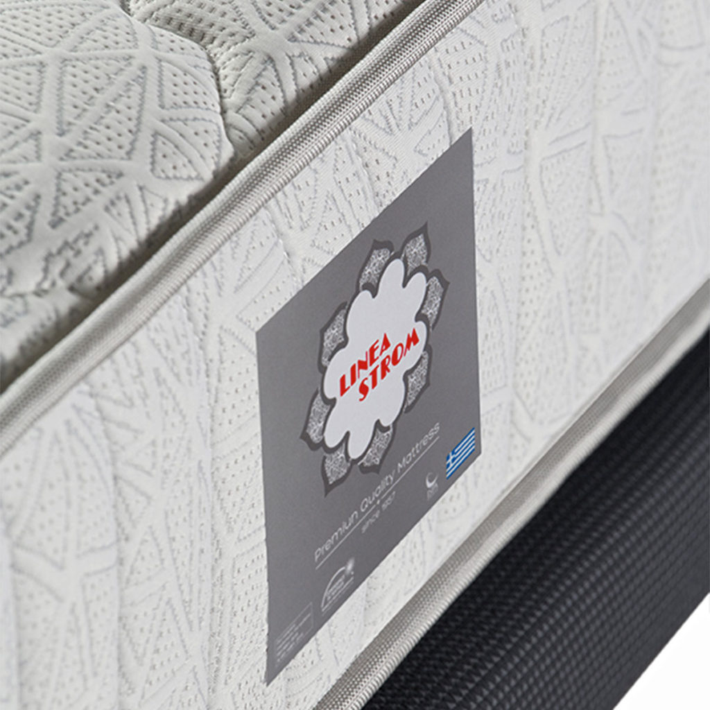 Bonsai – Tranquility at Home