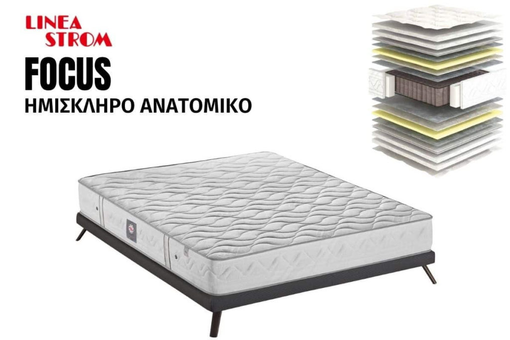 Bonsai – Tranquility at Home