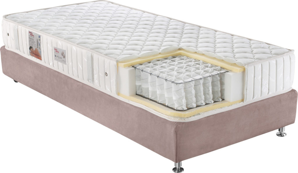 Bonsai – Tranquility at Home