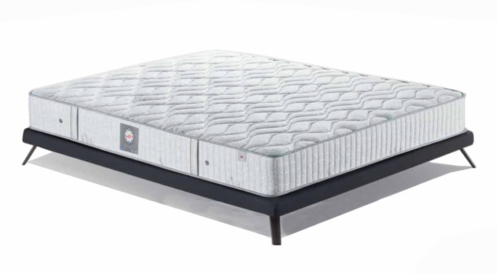 Bonsai – Tranquility at Home