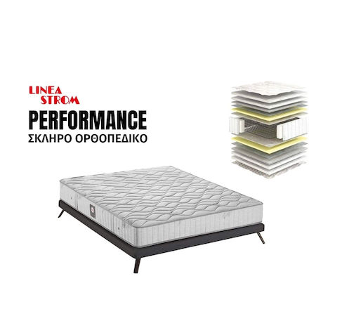 Bonsai – Tranquility at Home