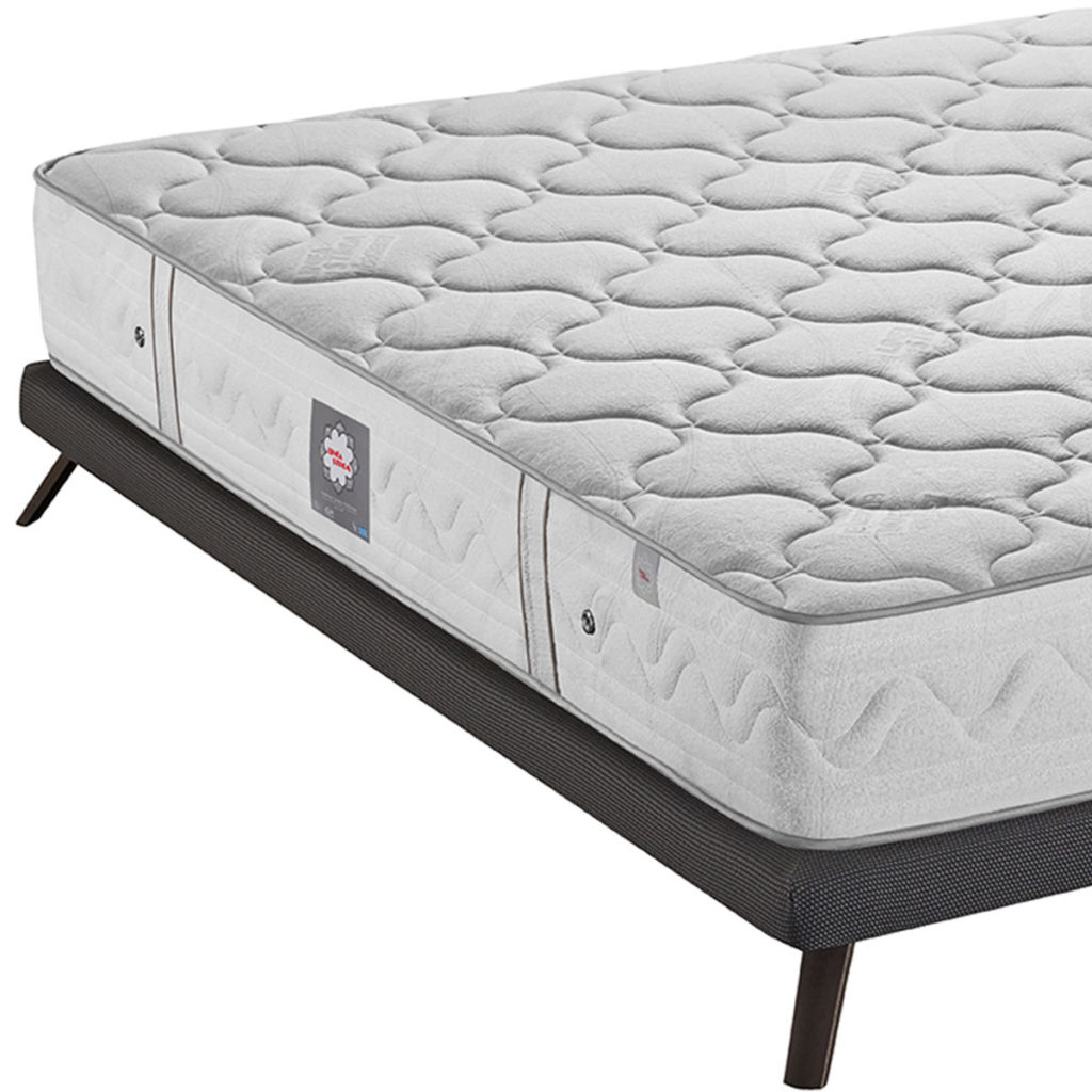 Bonsai – Tranquility at Home