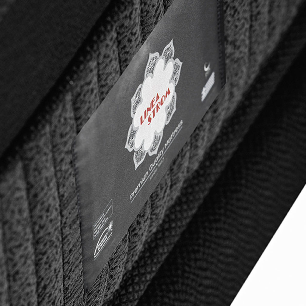 Bonsai – Tranquility at Home