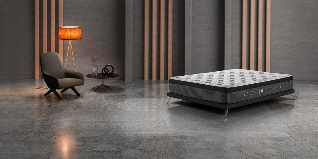 Bonsai – Tranquility at Home