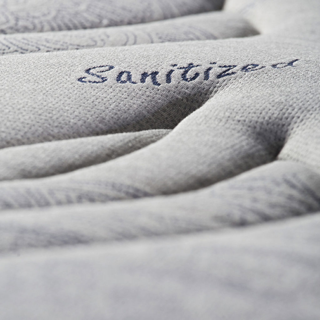 Bonsai – Tranquility at Home